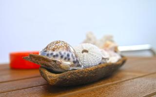 Saria Self Catering - Praslin - 8