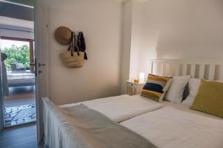 Smokvica - Feigenbaum - 7