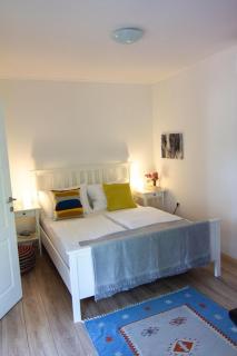 Smokvica - Feigenbaum - 1