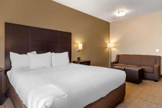 Comfort Inn & Suites Paw Paw - 5