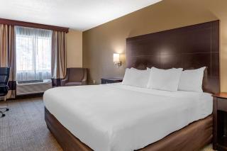 Comfort Inn & Suites - Paw Paw - 9