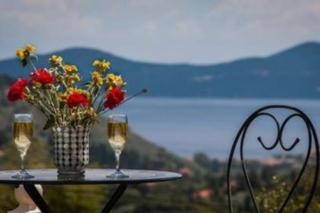 Private villa close to Famous Myrtos beach with private boat! - Ayia Evfimia - 8