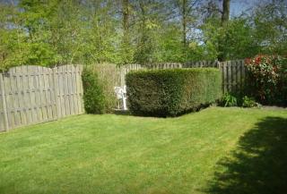 ON135 De Zeemeeuw, holiday home with garden - Oostkapelle - 9