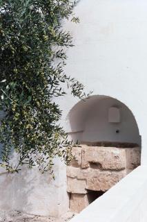 Masseria Cimino - Savelletri di Fasano - 5
