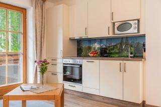 Aparthotel Lieblingsplatz - Filzmoos - 9