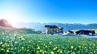 Alps Lodge - Fiss - 4