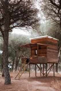 miCielo - Baumhäuser - Vejer de la Frontera - 4