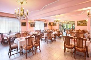 Hotel Panorama - Mosonmagyaróvár - 7