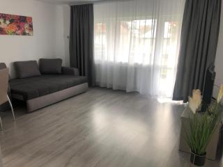 Elena-Maria Apartments - Buşteni - 7