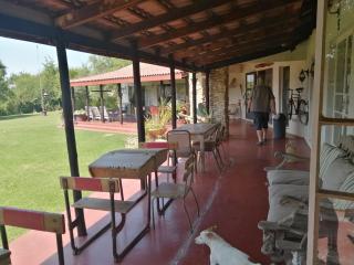 Quinnest - Oranjeville - 1