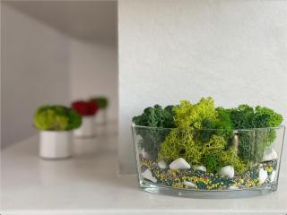 "Pearl 17" Sea View Elite Apartments in Historical Centre of Odessa - 6