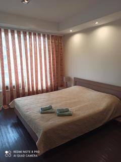 Nelli apartamentai - Druskininkai - 3