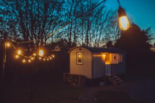 Shabby Shepherds - 1