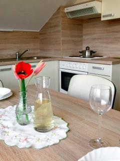 Apartments Sončnica - Moravske-Toplice - 1