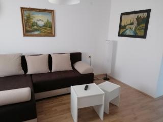 Apartman Banjica 1 - Sokobanja - 2