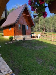 Apartmani Tornik-Planinska Kuća Zdravković - Dobroselica - 7