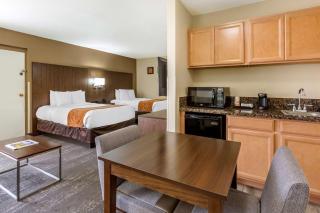 Comfort Suites Tucson near Sabino Canyon - Tucson - 4