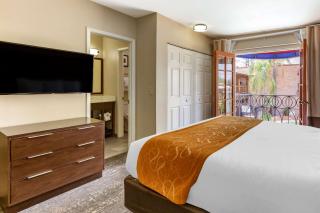 Comfort Suites Tucson near Sabino Canyon - Tucson - 2