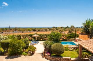 Finca Tanca Nova - 8