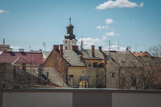 Alina Hotel & Hostel - Užhorod - 8