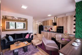 Castle Suite - Sinaia - 2