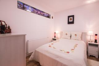 Castle Suite - Sinaia - 1