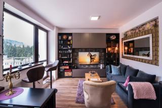 Castle Suite - Sinaia - 9