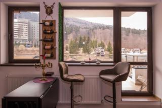 Castle Suite - Sinaia - 7