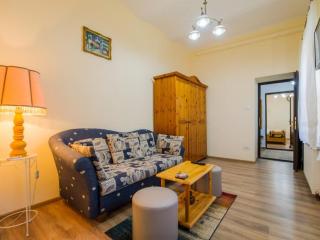 Apartment Carol private Yard with barbeque and parking - Sinaia - 3