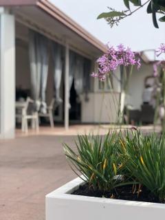 La Casa del Viaggiatore - 1