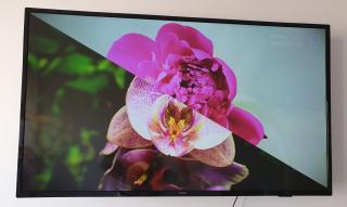 Rosa de los vientos - Cofico - 9