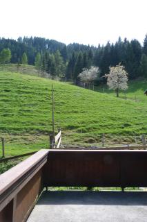 Apartments Teglbauernhof, Hütte, Chalet, Mobilheim, Appartement, Ferienwohnung, Pension, Urlaub - Uttendorf - 2