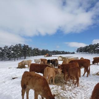 El rincón del molino - 2