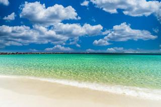 Gulf Winds Court 202 - Emerald Cove Oasis - 9