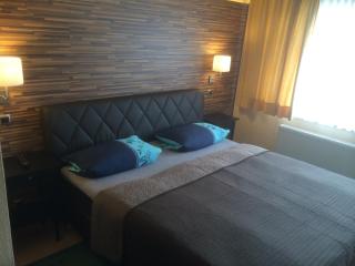 Hotel Rhein INN - 7