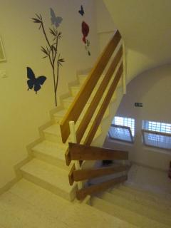 Apartments Olga 2 - Makarska - 8