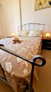 Beautiful studio Z104 in Vanessa Complex - Peyia - 9