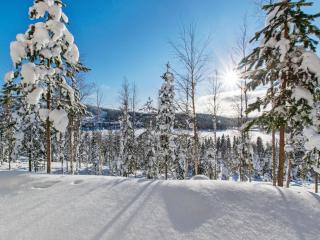 Holiday Home Alppikylä 13b paritalo by Interhome - Hyrynsalmi - 9
