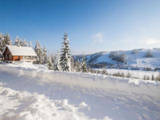 Holiday Home Alppikylä 1b paritalo by Interhome - 3