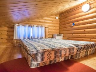 Holiday Home Kultapaljakka 3 by Interhome - 4