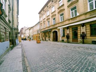 Lion King Lesya Ukrainka - Lviv - 1