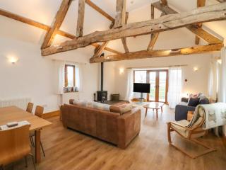 Hill Farm Cottage - Bacton - 9