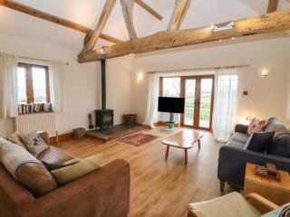 Hill Farm Cottage - Bacton - 8