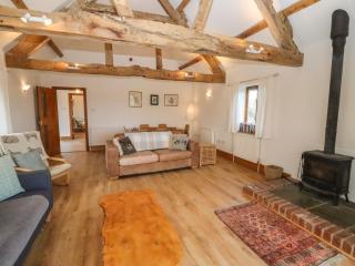 Hill Farm Cottage - Bacton - 7