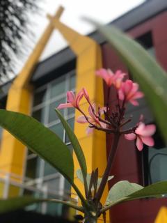 DLIRA SYARIAH HOTEL - Pekanbaru - 6