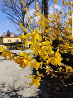 Bed&Breakfast Villa Camilla - Ivrea - 1