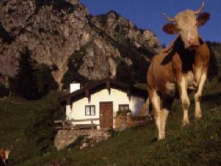 Grafn-Hof - Schleching - 8