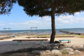 Le Terracotta , 2chambres, Terrasse, Piscine, Parking gratuit, Wifi, Climatisation - Marseillan - 4