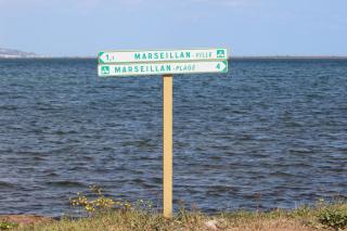 Le Terracotta , 2chambres, Terrasse, Piscine, Parking gratuit, Wifi, Climatisation - Marseillan - 3