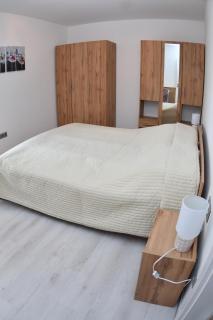 Fűzliget Ezüstnyár - 2